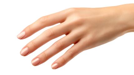 Natural Skin Texture and manicured fingernails