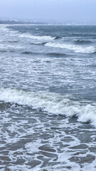 Winter Landscape: Waves and Snow-Covered Shore