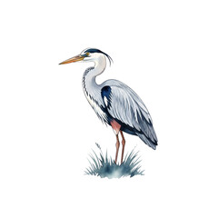 Fototapeta premium Detailed illustration of a grey heron standing calmly on grass. Symbol of patience, elegance, focus, and wetland wildlife.