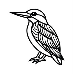 Minimal line art kingfisher outline  elegant vector