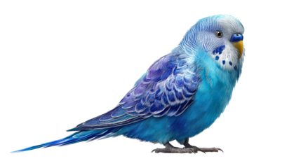 Blue parakeet perched on white background with realistic texture