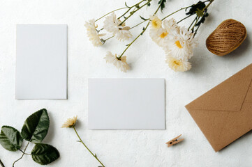Flat lay of blank cards and delicate flowers on white background
