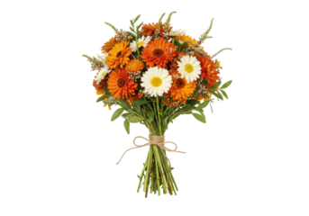 Isolated bouquet of orange gerbera and chamomile flowers, tied with twine, for gift giving