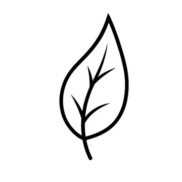 Simple line drawing of a leaf with veins, isolated on white background.