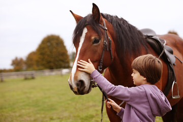 Obraz premium Equine assisted therapy. Little boy stroking beautiful horse in countryside, space for text. Lovely domesticated pet