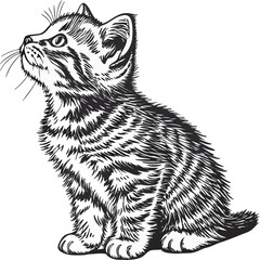 Create a highly detailed black-and-white hand-drawn sketch of a cute tabby kitten sitting with its front paws forward and large, expressive eyes. The fur should be textured with fine linework, and the