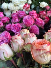 Bouquet de fleurs