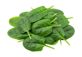 Isolated Fresh Spinach Leaves, Green Vegetables and Salad Ingredient, Healthy, Food