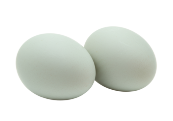 Isolated pair of blue eggs sitting next to each other, perfect for spring, Easter concepts