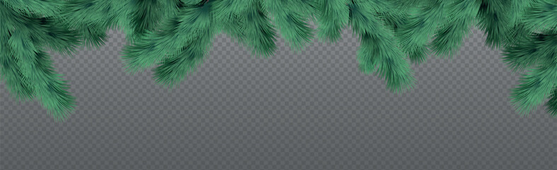 New Year Christmas background, festive fir tree, web template without background for advertising, postcards - Vector illustration