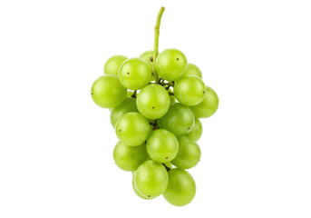 Isolated bunch of green grapes, fresh fruit still life with natural light and shadows