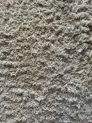 hairy carpet rug texture top view for background