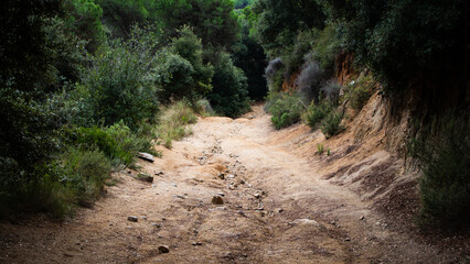 Premia de Dalt, Maresme, Barcelona, Catalunya