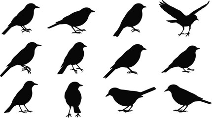 Obraz premium Silhouette collection of birds in various poses, standing walking flying positions, wildlife nature design, cad drawing flat vector illustration