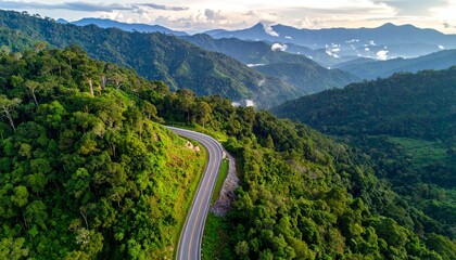 Road in the middle of the forest construction up to the mountain