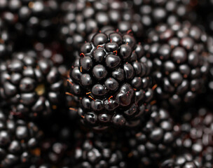 A close up of black berries
