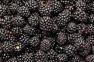 A bunch of black berries