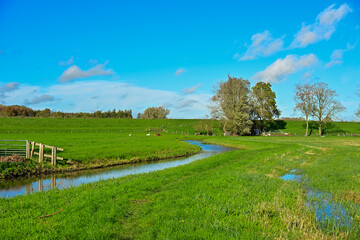 Green Dike Landscape: Sunny Morning View of the River Linge Floodplain Near Heukelum