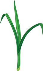 Naklejka premium Sprout of a cereal plant isolated on white background