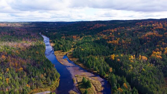 Soaring view over meandering river carving through autumn forest; curves and colours create mesmerising pattern in remote valley.