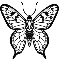 Black and white butterfly silhouette icon