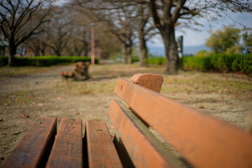 手前のベンチに寄ったボケのある風景。落ち葉が散る静かな散歩道。