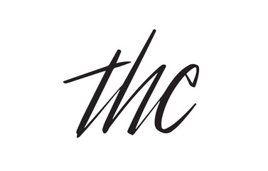 The Stylish Serif  Word Vector Design