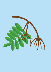 Autumn concept with leaves design, vector illustration 10 eps graphic.