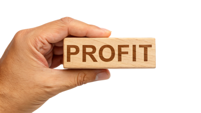 Hand holding a wooden sign with the word profit is a concept for a business solution