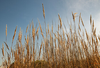 The colors of autumn in Bozdag beautify nature