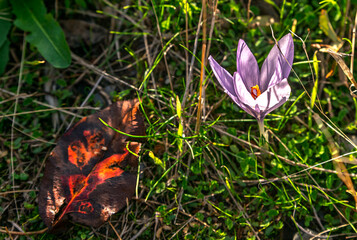 The colors of autumn in Bozdag beautify nature