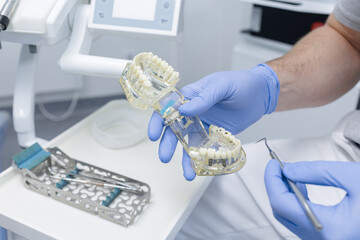 Gloved dentist demonstrating implant jaw model with explorer in modern clinic © st.kolesnikov