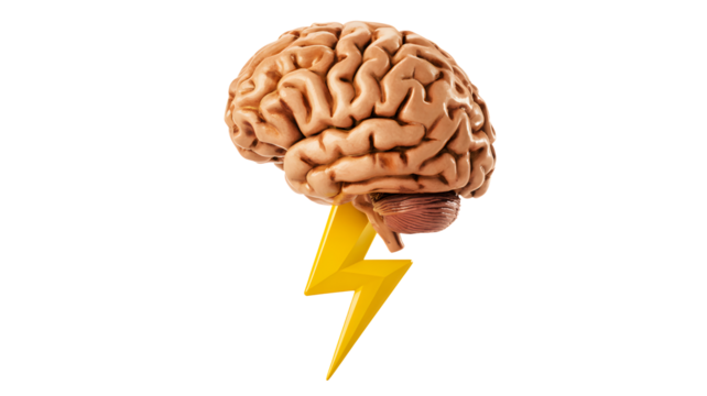 Realistic human brain with a bright yellow lightning bolt striking downwards representing a powerful idea or sudden inspiration isolated on transparent background