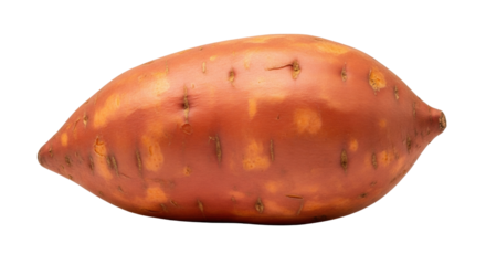 Isolated Sweet Potato Close-up ready for recipes, mashed, roasted, frying or used for puree in pies