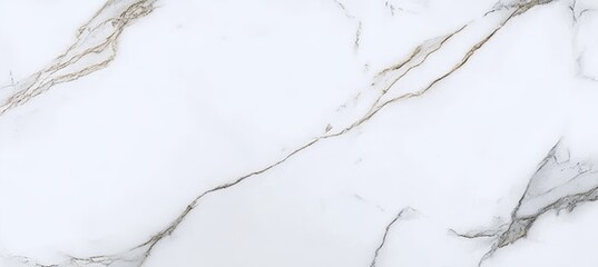 Obraz premium Carrara Quartzite Marble with Elegant White Surface and Striking Veins, Luxury Polished Stone Design