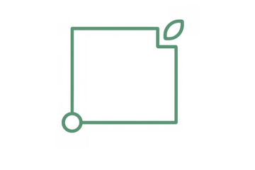 Minimalist green square frame with leaves and sprout, outlining plant growth on transparent background for natural design