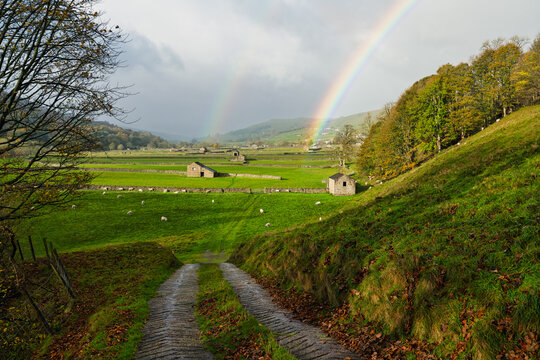 Double Rainbow