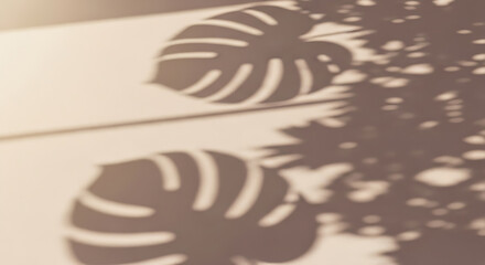 Tropical Leaves Shadow Overlay on White Background