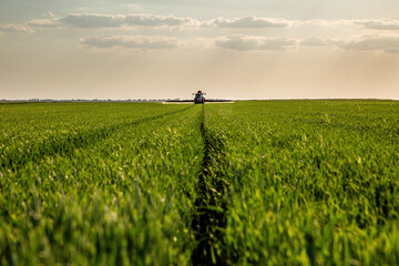 Tractor spraying green wheat field for crop protection © oticki