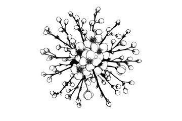 Elegant Floral Artistry: Symphony Rose Branches Prunus Twigs | Clean, isolated vector art for creative projects.