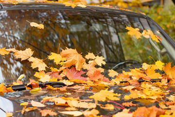 A car covered with colorful autumn leaves. The scene captures the essence of fall with vibrant orange, yellow, and red foliage resting on the vehicle.