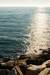 A wooden chair placed on the rocks of the coast of Torrevieja to enjoy the sunrise from the first line of the sea. The sun that has already risen reflects its light on the waters of the Mediterranean 