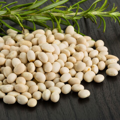 Pile of white beans with fresh rosemary sprig