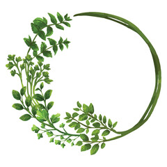 Wreath of Green Herbs. Hand Drawn Herbs Watercolor Texture Vector Illustration. Isolated Elements on White Background