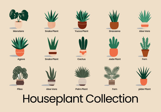 Houseplant Icon Set Collection