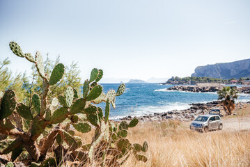 Coastal Road With Cactus And Ocean View Sicily