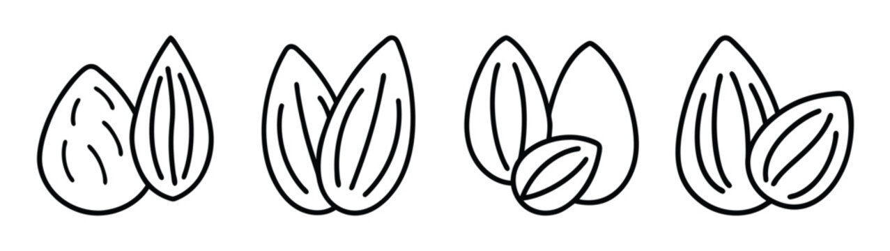 Almond nut outline drawing vector illustration, healthy snack food ingredient, organic nuts seeds