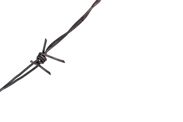 Barbed wire, prickly spike. Copy space