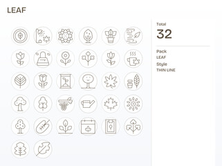 Leaf Vector Icon Collection featuring 32 Pixel Aligned 256x256 Thin Line Designs