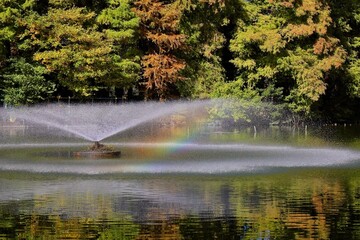 紅葉の森と池の噴水の虹　埼玉県別所沼公園